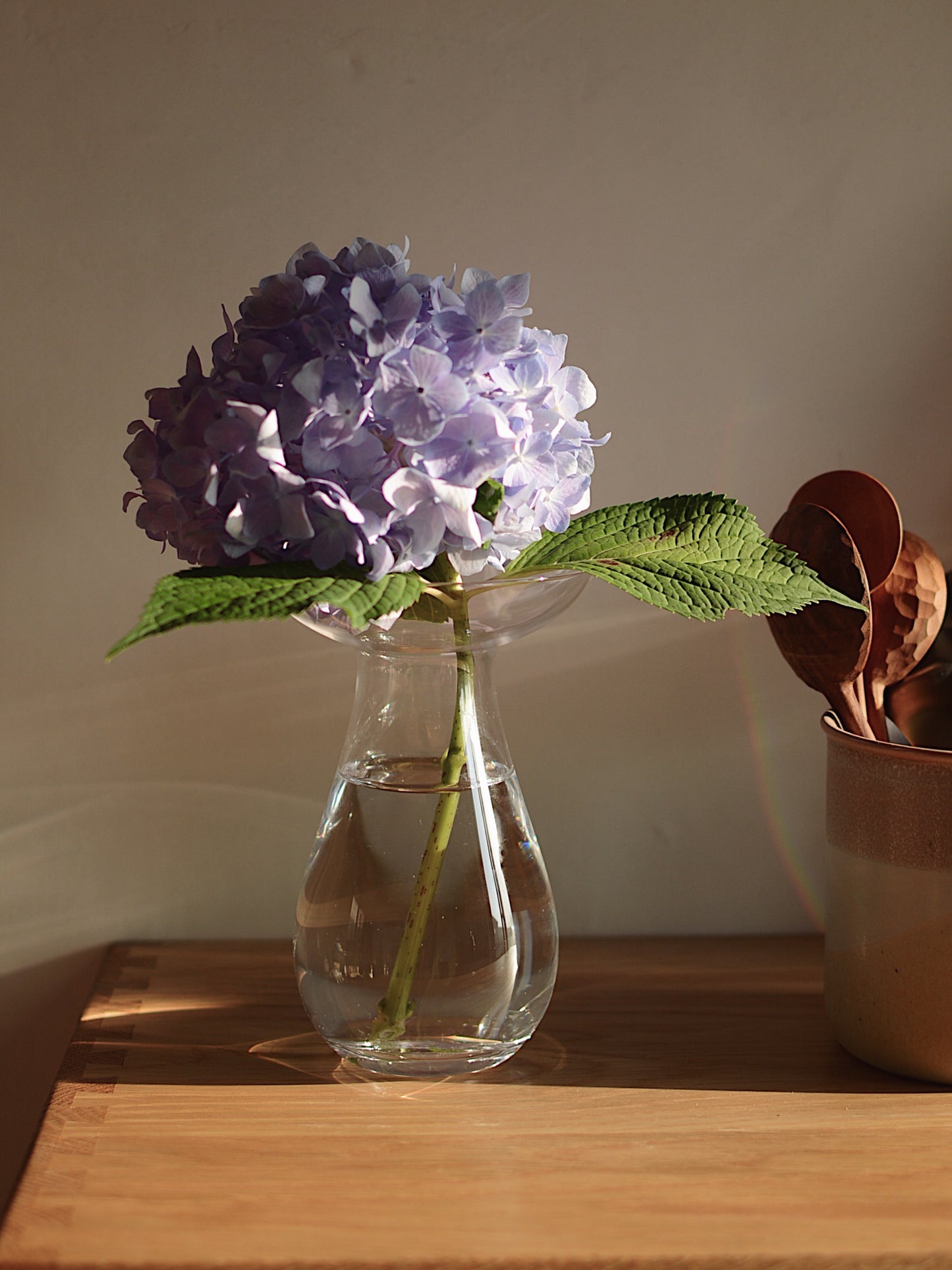 W05 Gārasu Vase Set